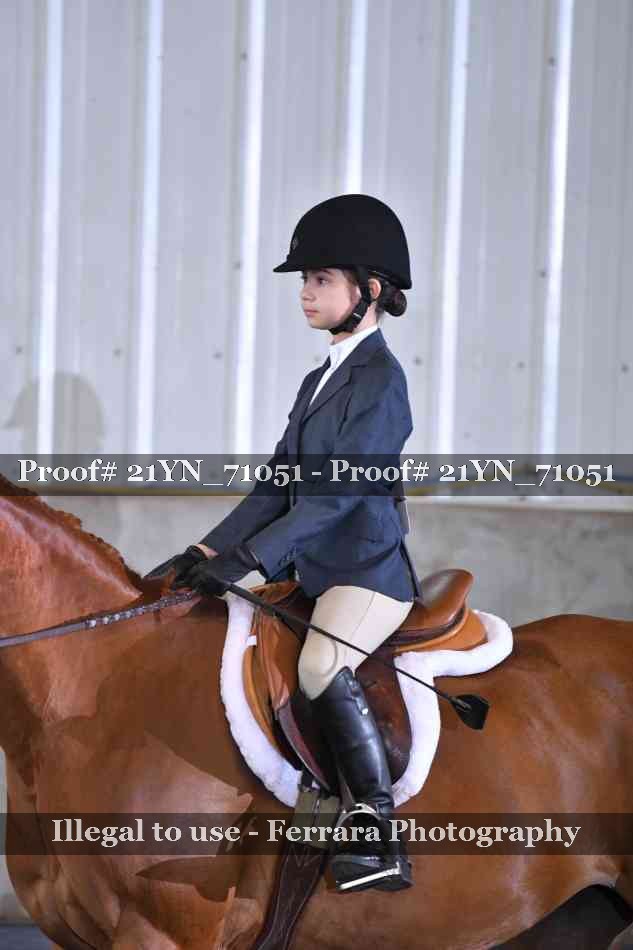 Proof 21YN_71051