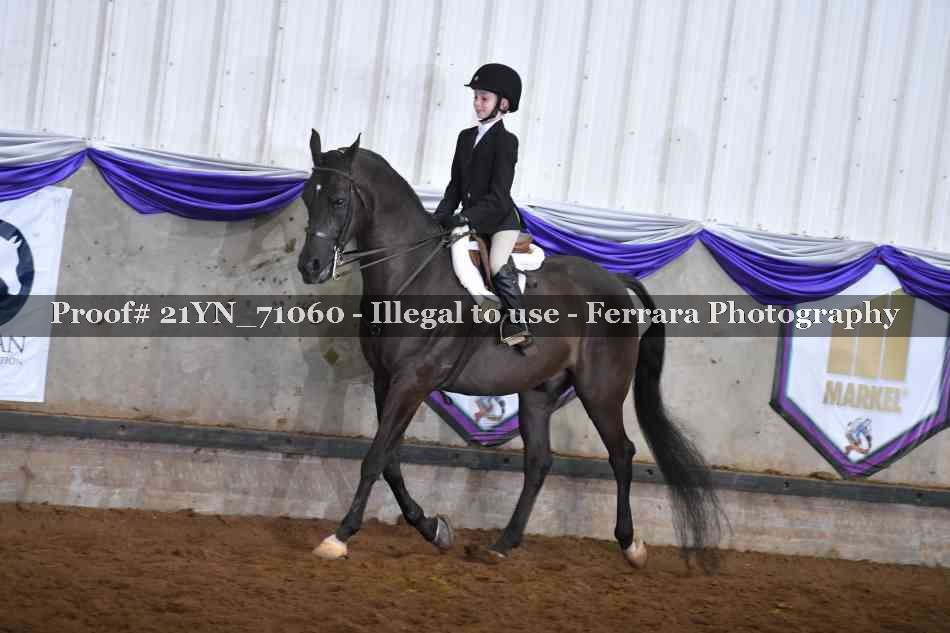 Proof 21YN_71060