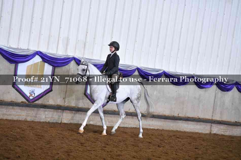 Proof 21YN_71068