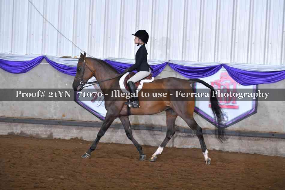Proof 21YN_71070