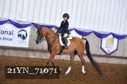 21YN_71071 proof
