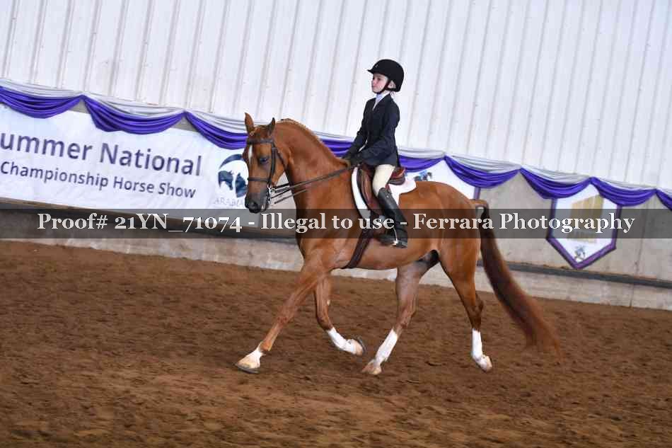 Proof 21YN_71074