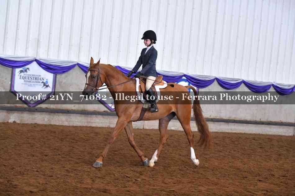 Proof 21YN_71082