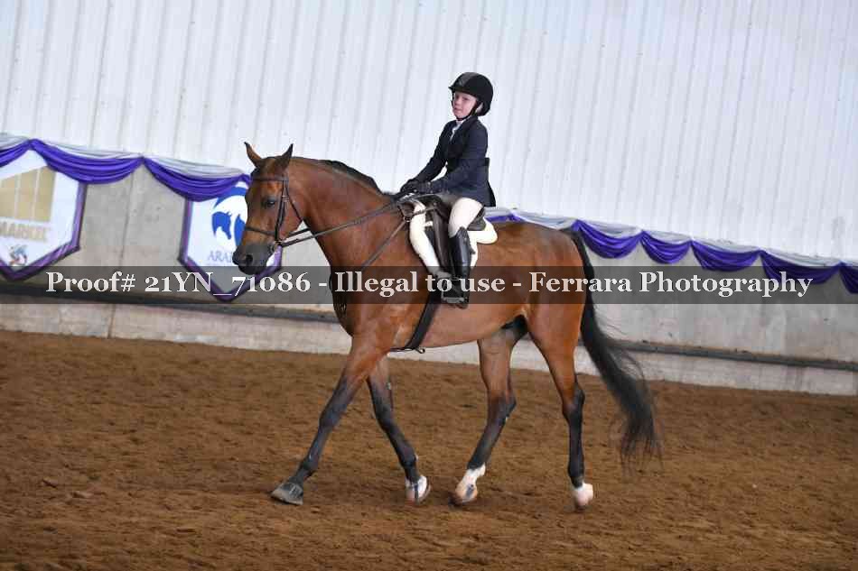 Proof 21YN_71086