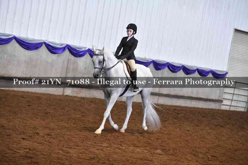 Proof 21YN_71088