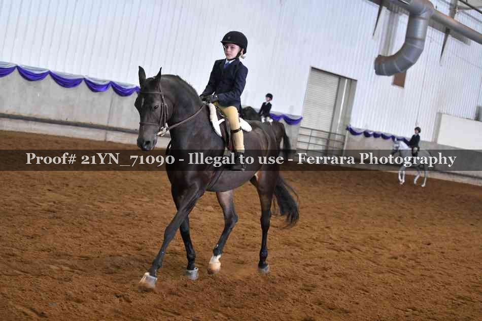 Proof 21YN_71090