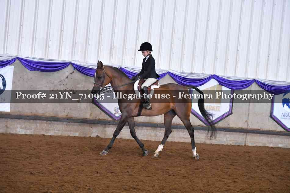 Proof 21YN_71095