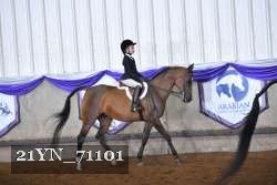 21YN_71101 proof