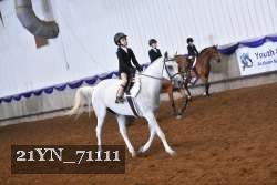 21YN_71111 proof
