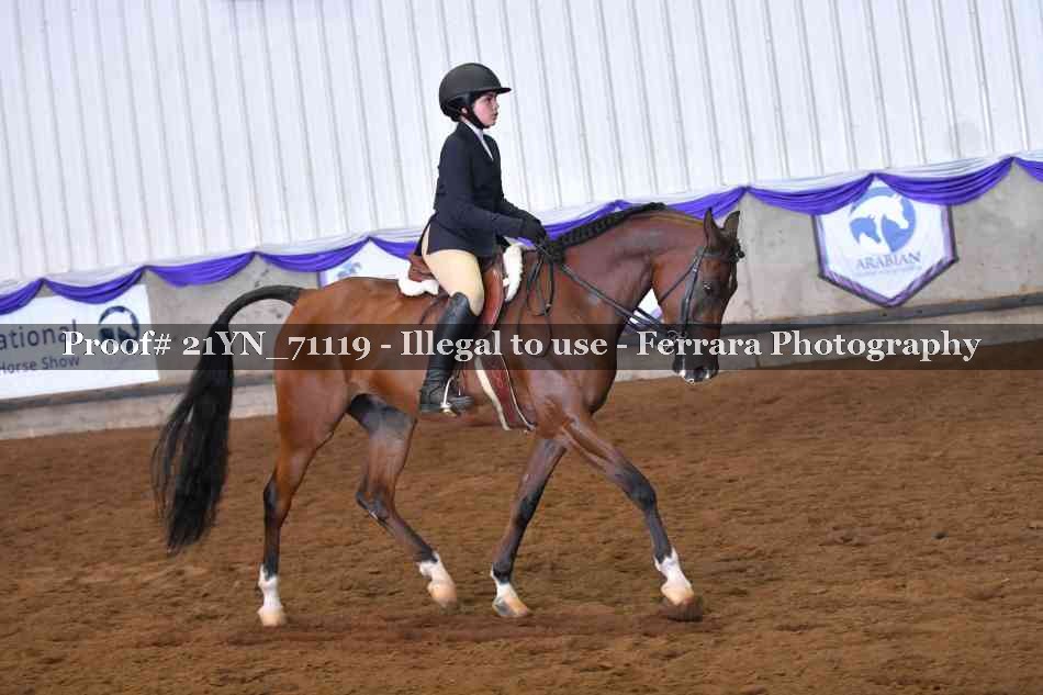 Proof 21YN_71119