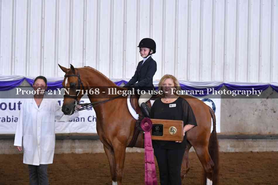 Proof 21YN_71168