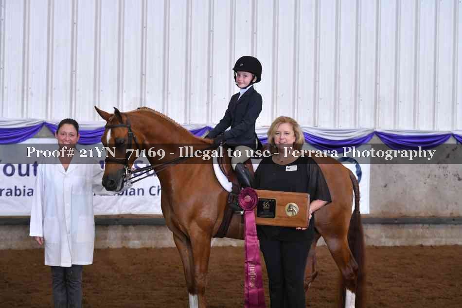 Proof 21YN_71169
