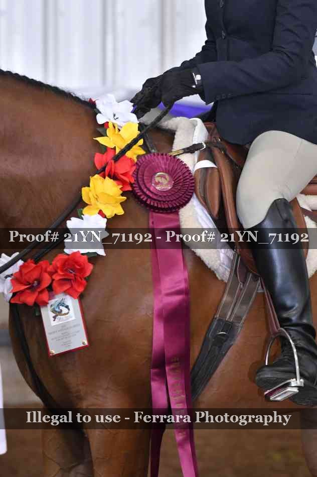 Proof 21YN_71192