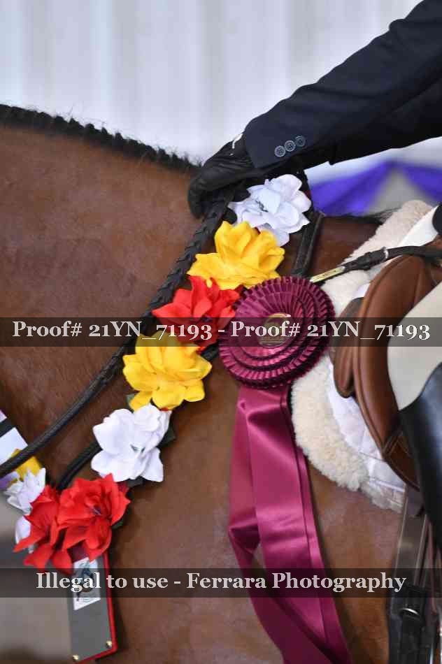 Proof 21YN_71193