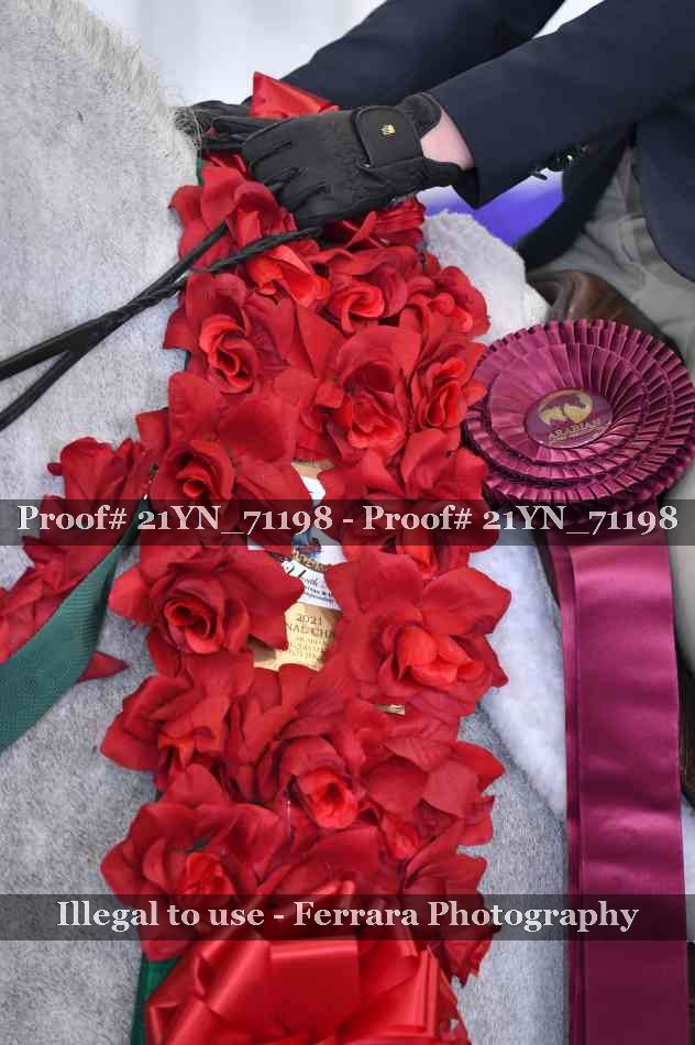 Proof 21YN_71198