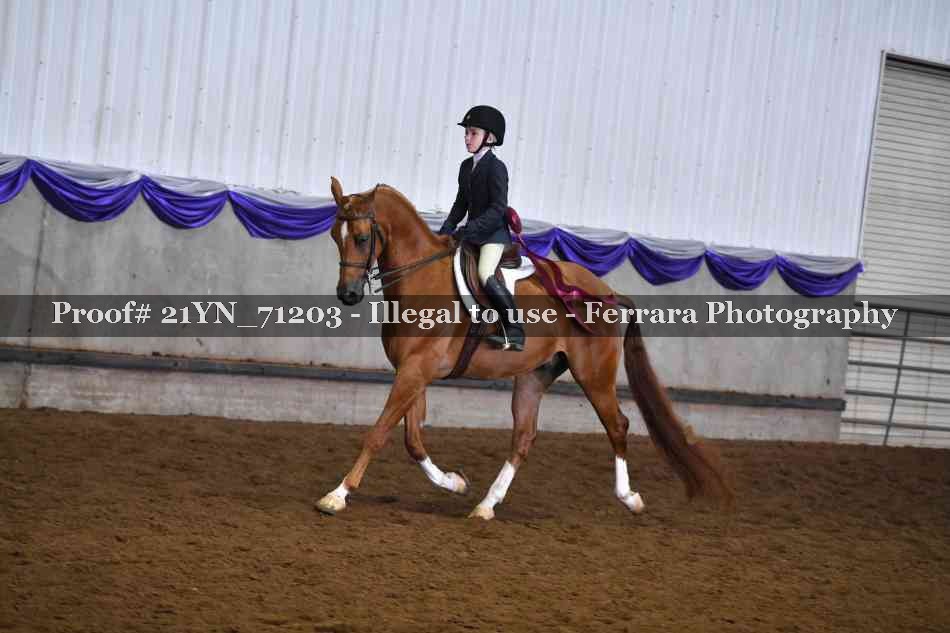 Proof 21YN_71203