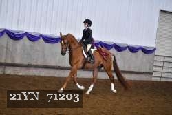 21YN_71203 proof