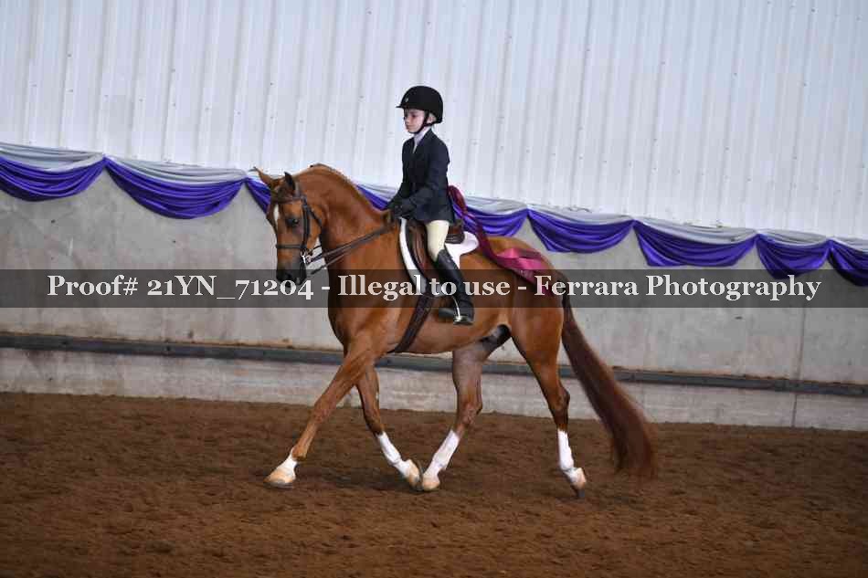 Proof 21YN_71204