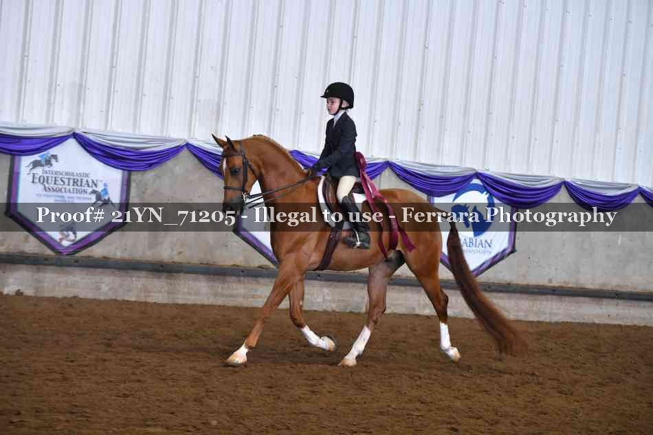 Proof 21YN_71205