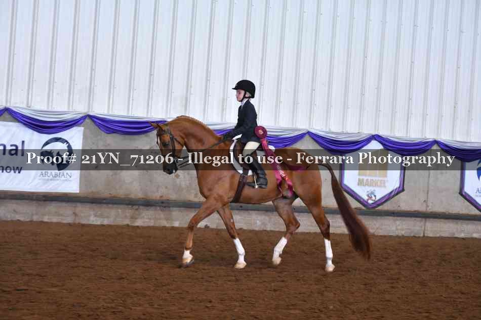 Proof 21YN_71206
