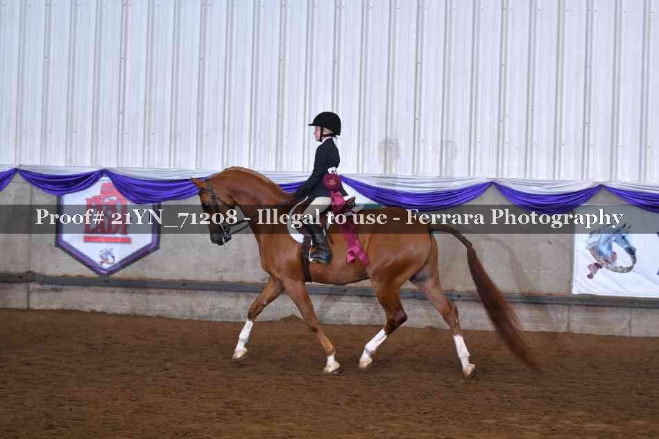 Proof 21YN_71208