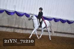 21YN_71210 proof