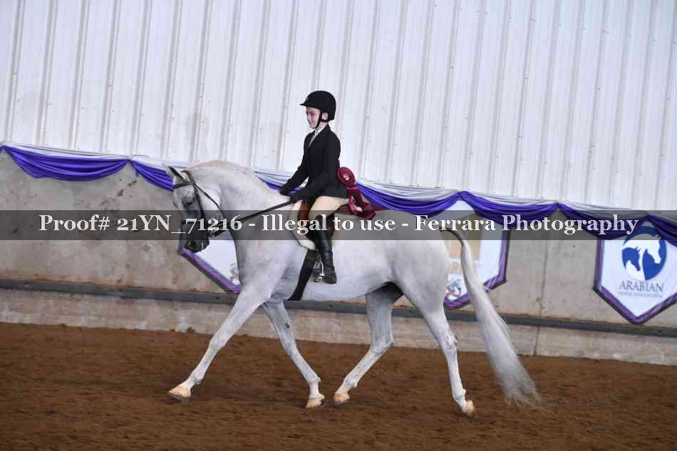 Proof 21YN_71216
