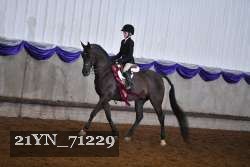 21YN_71229 proof