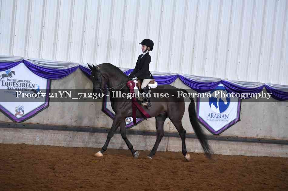Proof 21YN_71230