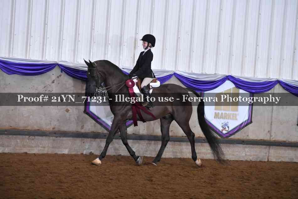 Proof 21YN_71231