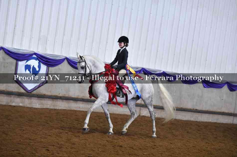 Proof 21YN_71241
