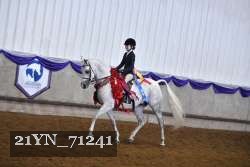 21YN_71241 proof