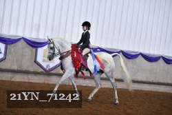 21YN_71242 proof