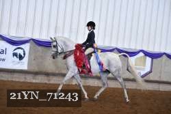 21YN_71243 proof