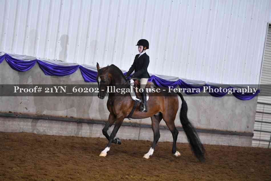 Proof 21YN_60202