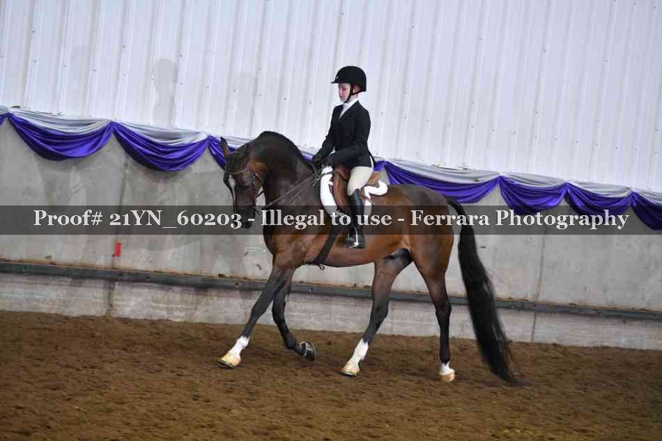 Proof 21YN_60203
