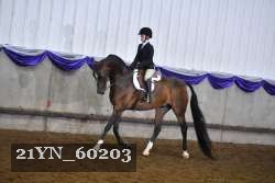 21YN_60203 proof