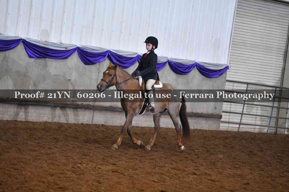 Proof 21YN_60206
