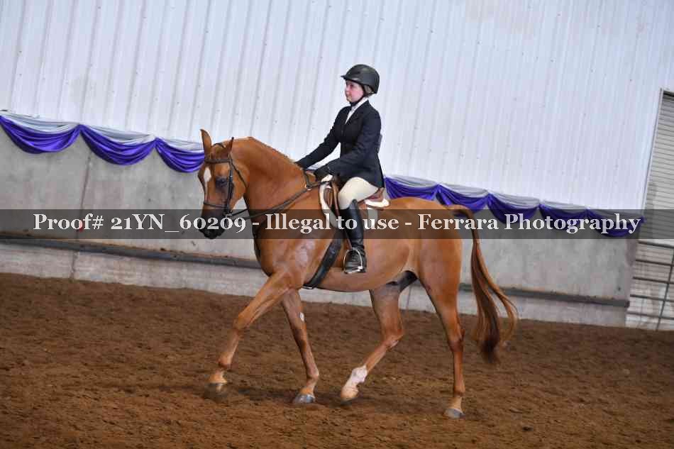 Proof 21YN_60209