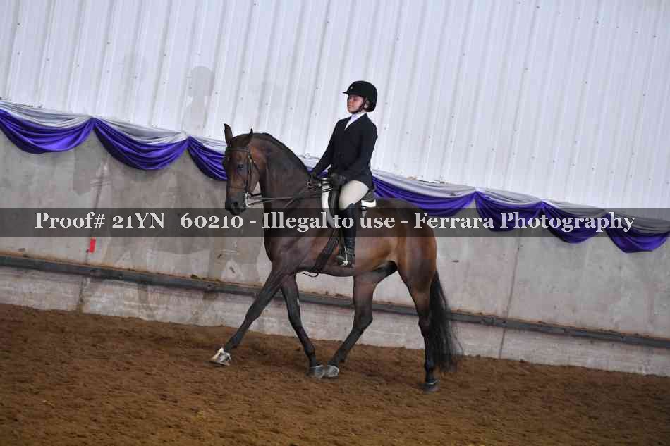 Proof 21YN_60210