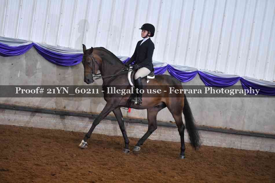 Proof 21YN_60211
