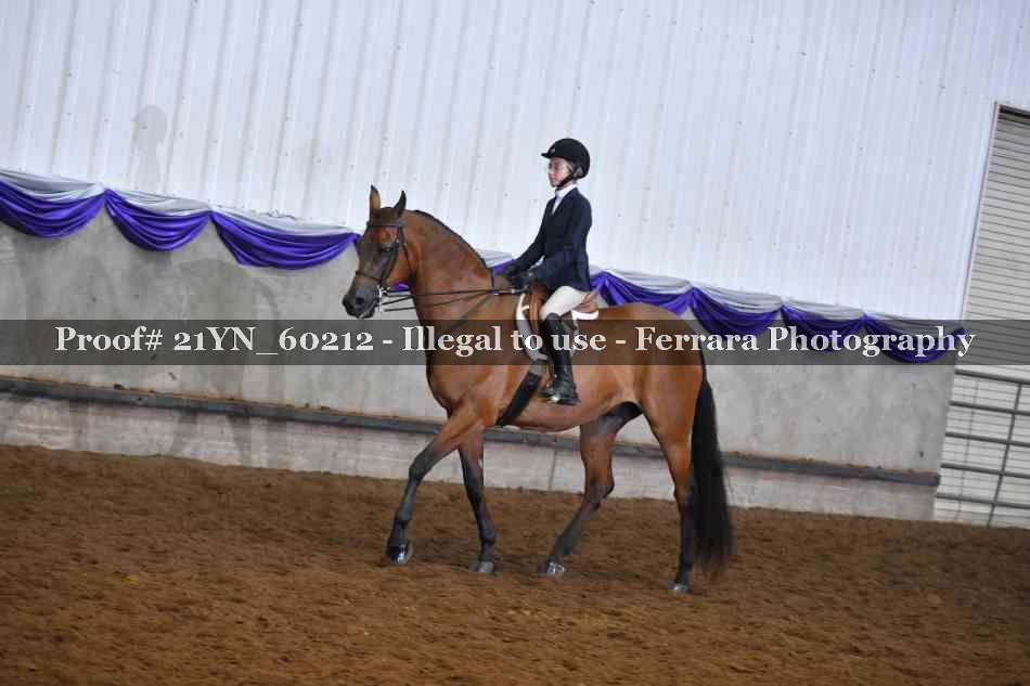 Proof 21YN_60212