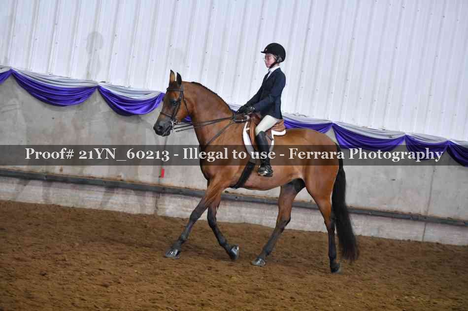 Proof 21YN_60213