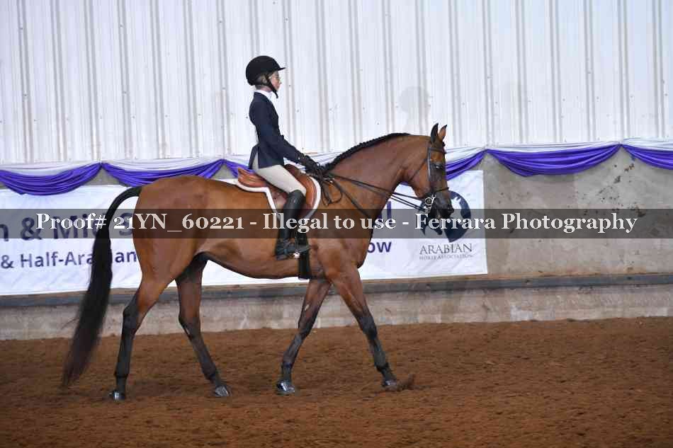 Proof 21YN_60221