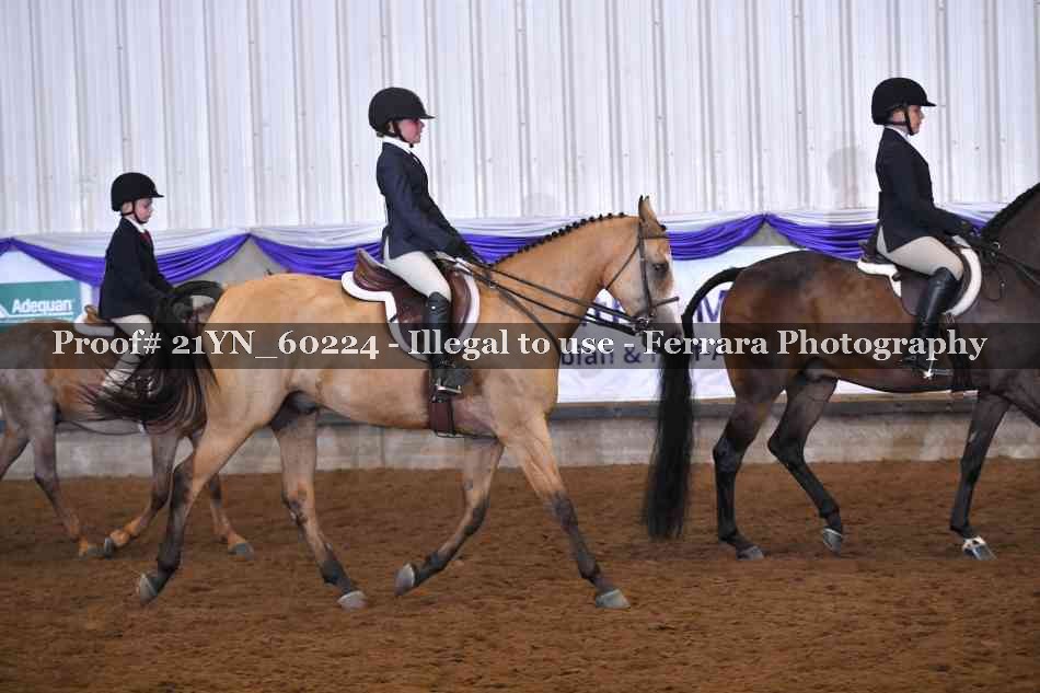 Proof 21YN_60224