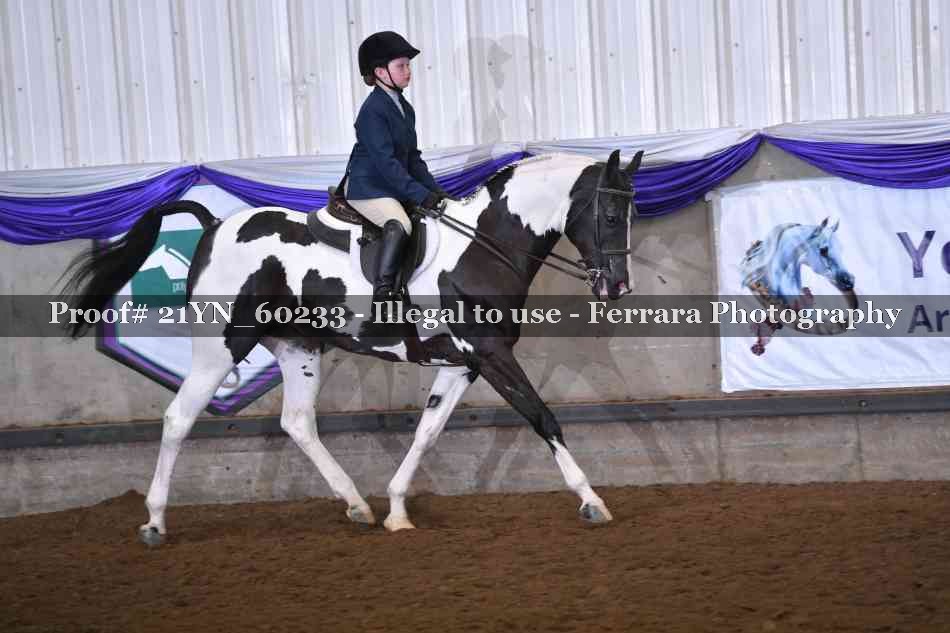 Proof 21YN_60233