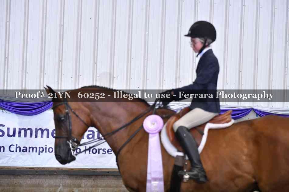 Proof 21YN_60252