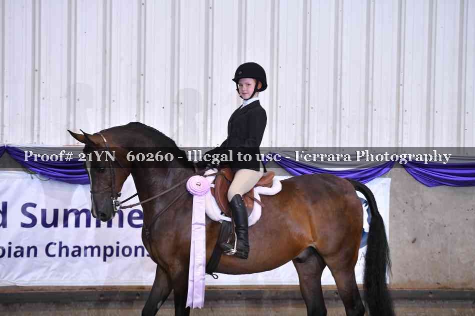 Proof 21YN_60260