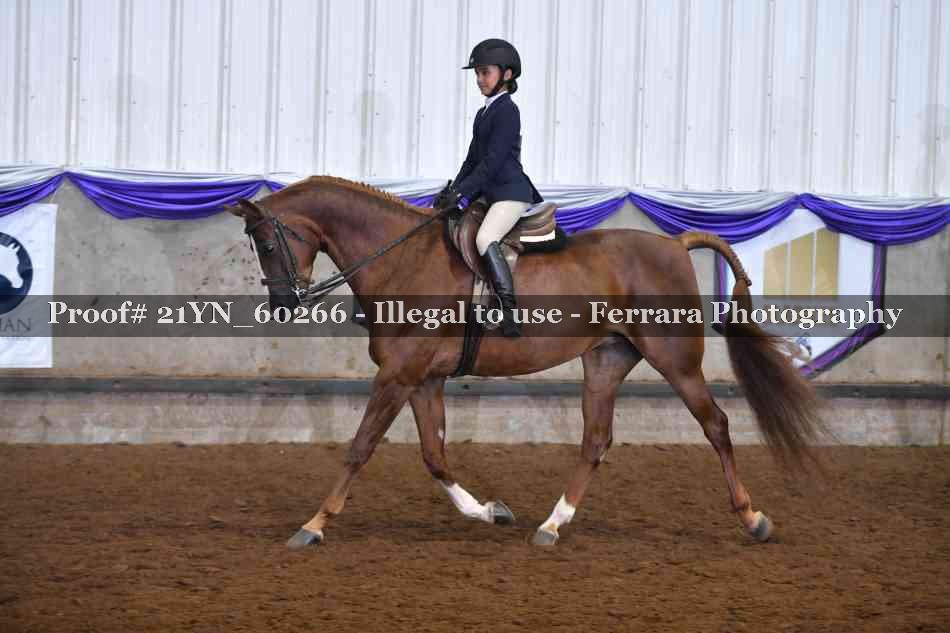 Proof 21YN_60266