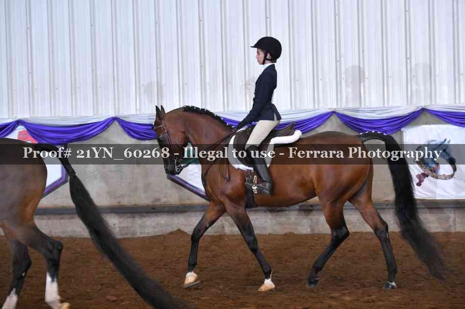 Proof 21YN_60268